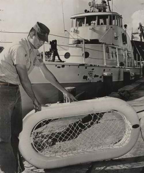 История Терри Джо Дюперро, 11-летней девочки, выжившей в открытом океане