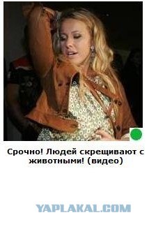 Автодемотиватор на ЯПе
