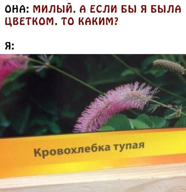 Эмма Уотсон берёт за щеку