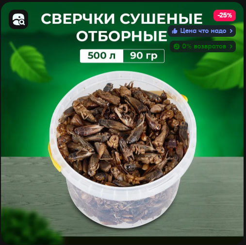Цены на яйца выросли из-за того, что доходы населения выросли и люди стали чаще их покупать — Путин