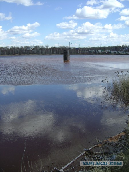 Им здесь зарабатывать, а нам здесь помирать.