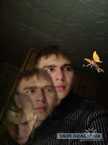 Дикие фото из социальных сетей