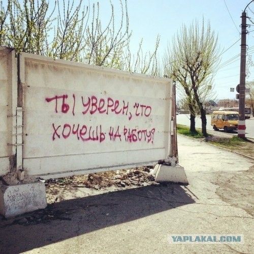 Мысли на стене