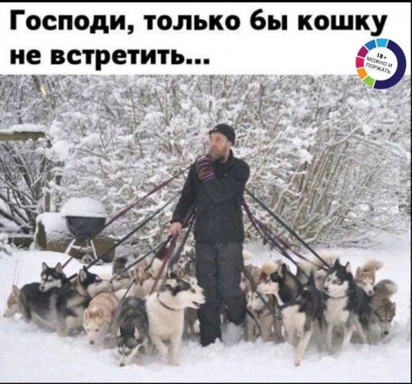 Картинки и буквы 24.06.2024