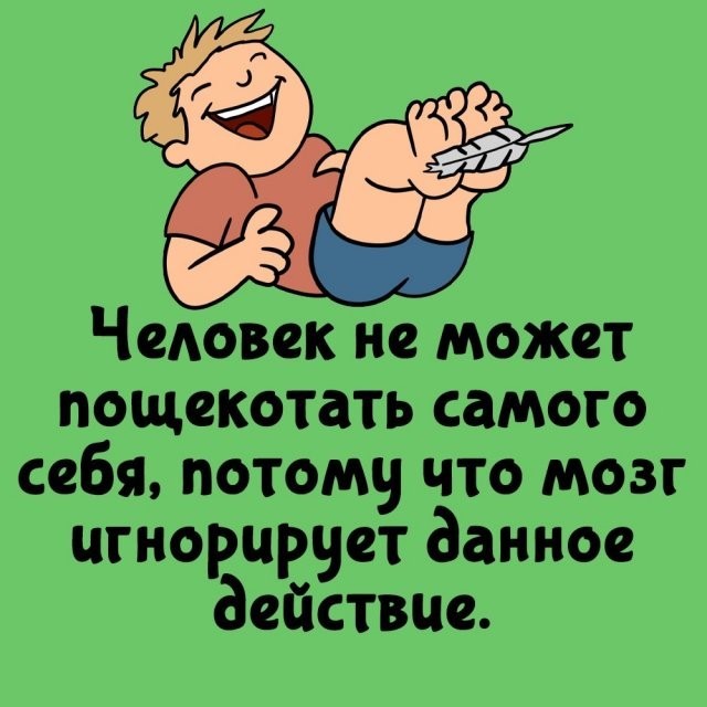 Подборка интересных фактов на все случаи жизни