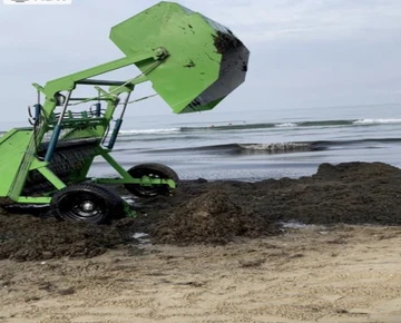 Туристы, приехавшие с Чёрного моря, массово подают в суд из-за проблем во время отпуска