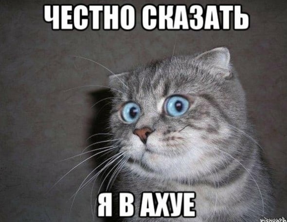Мурманская область выдвинула на Всероссийский конкурс красоты свою модель