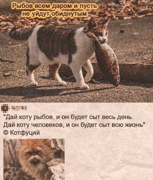 Так себе картинки 31.12.24