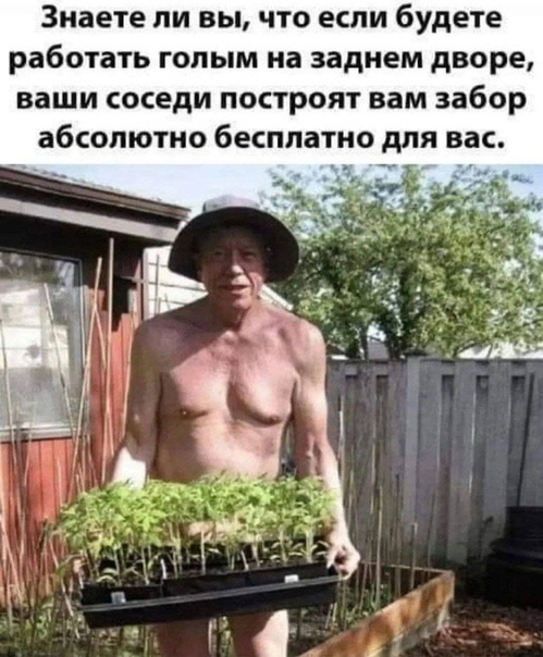 Так себе картинки 26.02.25
