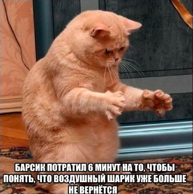 Веселые картинки в пятницу 25.02