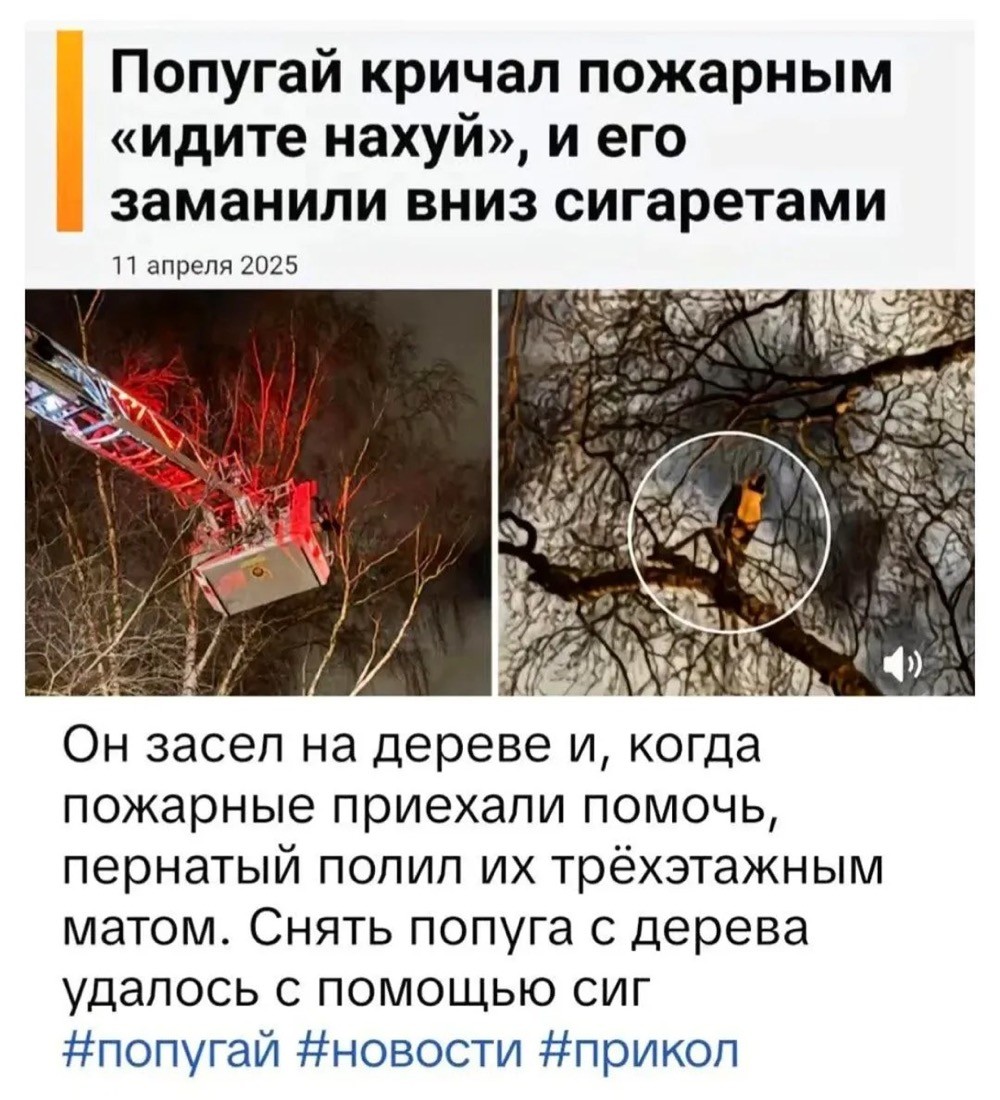 Быстрая деградация