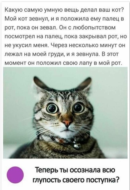 Так себе картинки 10.06.25