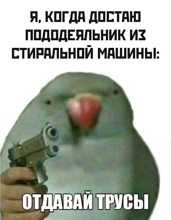 Так себе картинки 14.11.25