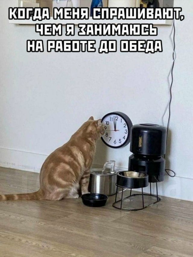 Так себе картинки 05.12.25