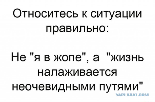 Картиночки, баянчики 31 января