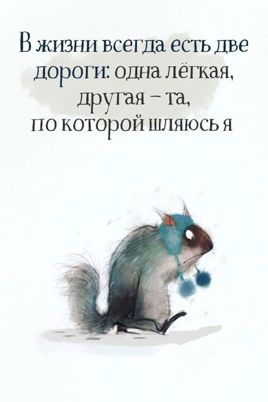 Среды картинки