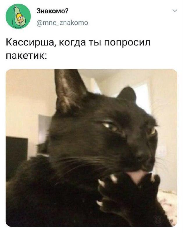 К котовторнику: подборка картинок-баянов с котиками и про котиков. Выпуск 32.