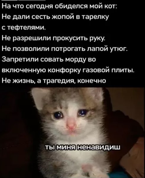 Котямбосы