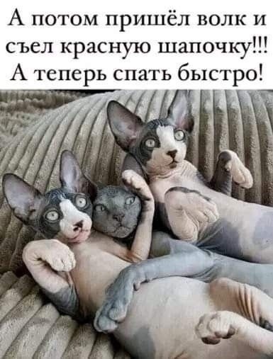 Среды картинки