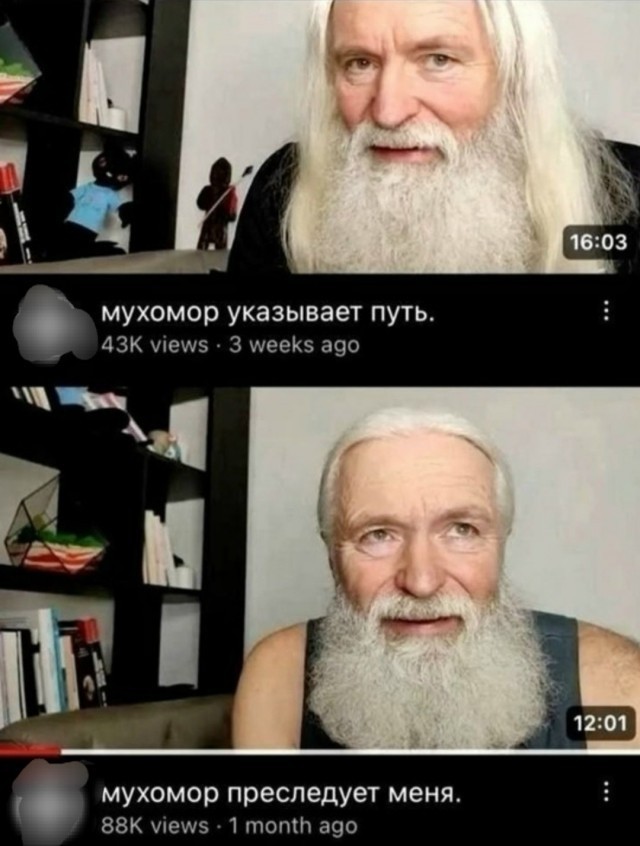 Веселые картинки в маленькую пятницу (08.07)