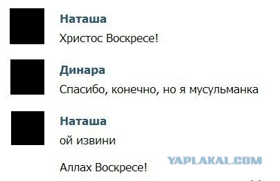 Смешные комментарии из социальных сетей