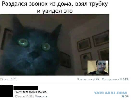 Смешные комментарии из социальных сетей