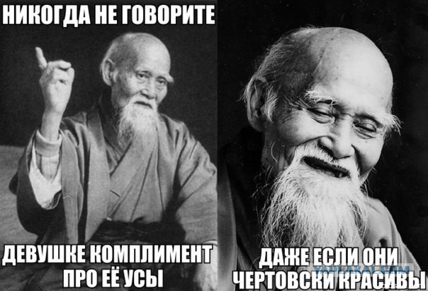 Знаменитости вблизи.