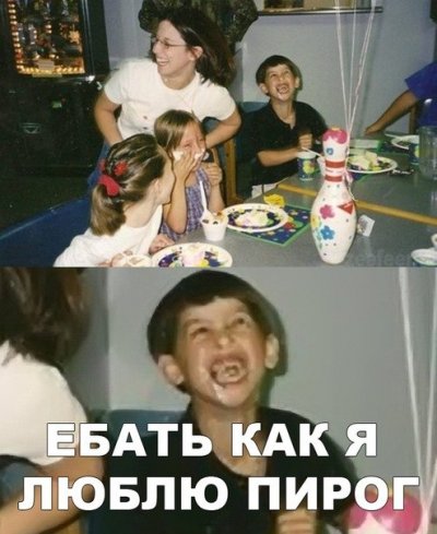 Не смешите собаку, когда она ест