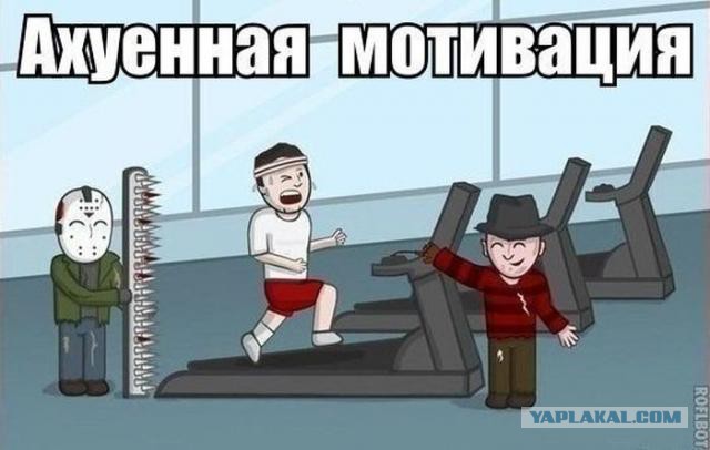 Смешные картинки с подписями 2