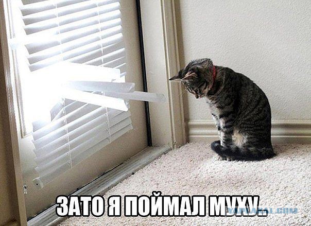 Поднимаем настроение