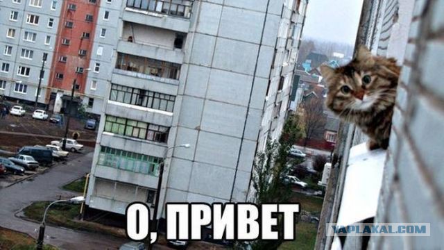 Чёрт, чёрт, чёрт!