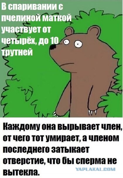 Прикольные пикчи