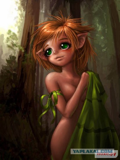 Плюсомет со шпалометом