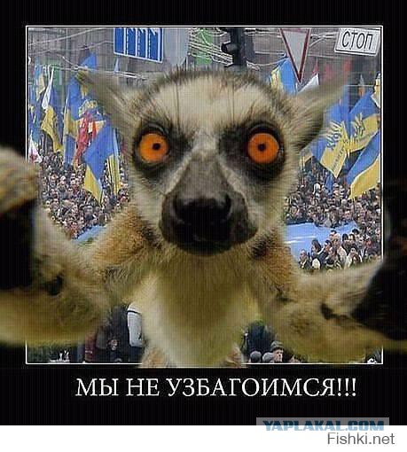 Майдан 3.0 раскинул первую свою палатку