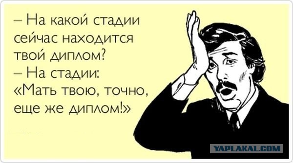 Смешные картинки для студентов пишущих диплом