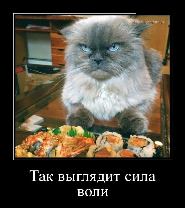 Демотиваторов пост, добавляйте свои