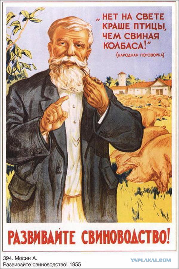Хэллоуин не за горами...