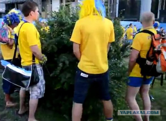 Большие возможности маленькой груди., телефон доверия
