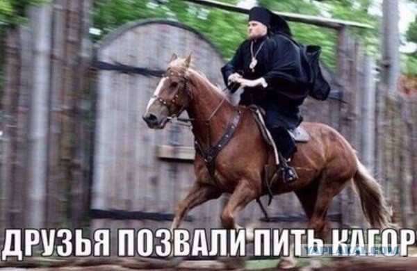 Забавные картинки из сети