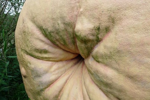 Первый пост не пинайте