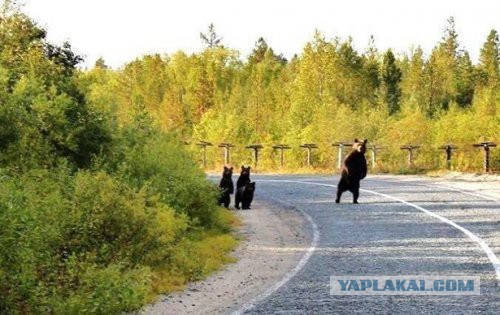 Позитивные картинки