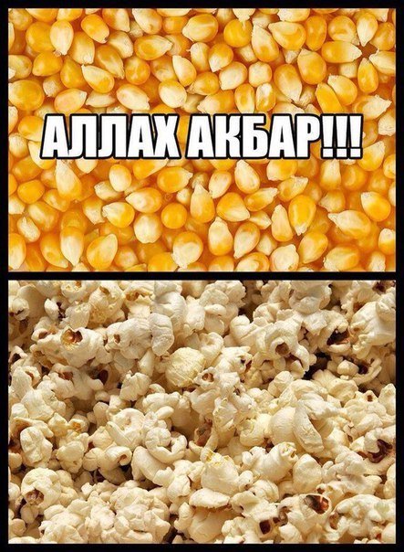 Веселые картинки