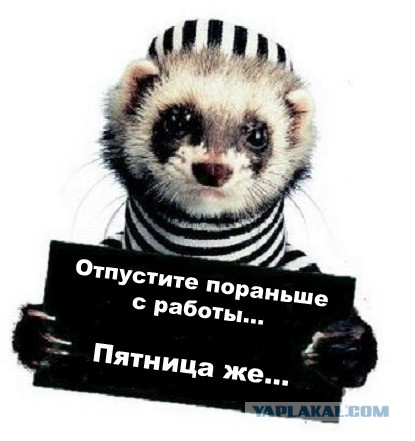 Ура... Пятница!