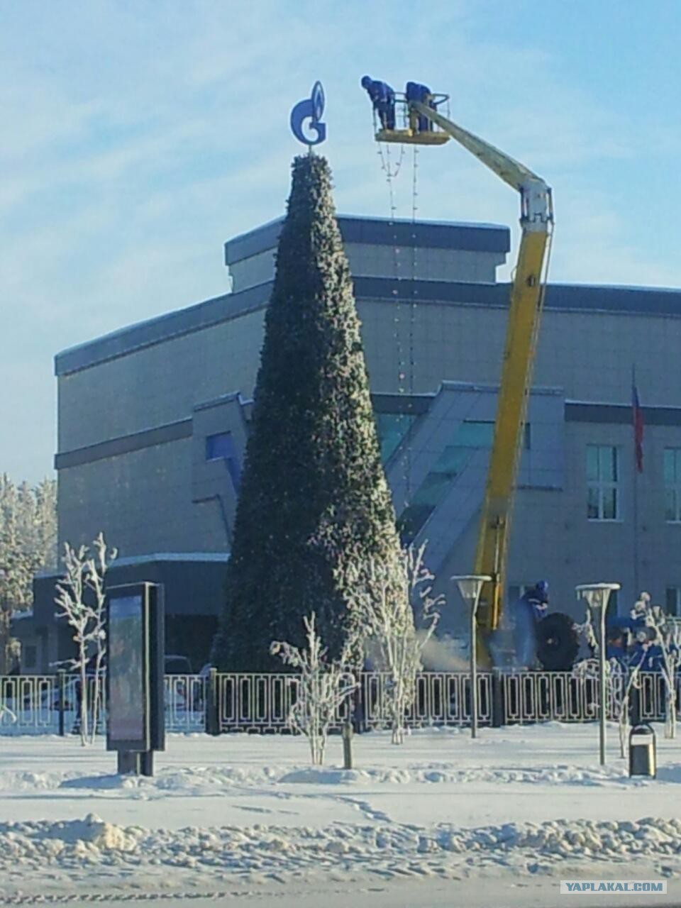 Картинка прикол ноябрьск, изготовлению открытки картинки