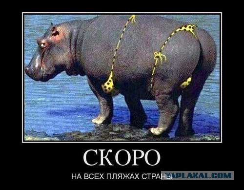 Веселые картинки.