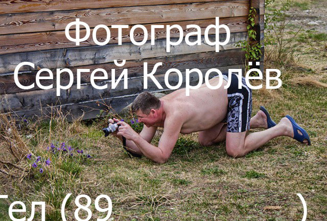 Жаба: Фотолюбитель