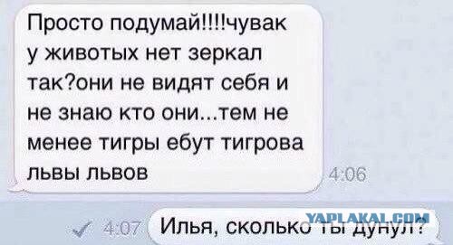 Картинки, СМСки из вашего тырнета