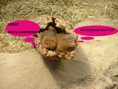 Уже да :) Ужо пятнецца...