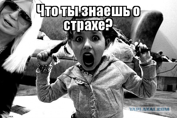 Донателла Версаче на открытии недели моды в Милане