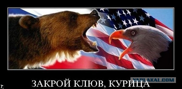 Медведь убил белоголового орлана, отгоняя его от добычи